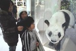 <b>徳山動物園</b>にパンダがやって来た。: 山口県のニュース